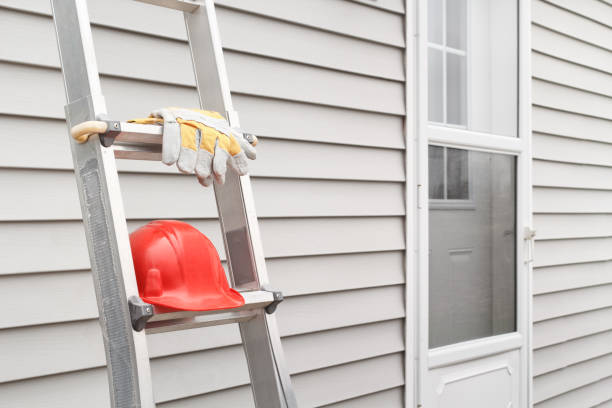 Best Wood Siding Installation  in Vista, CA