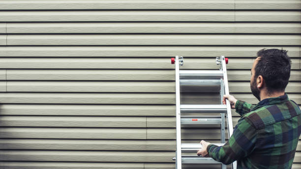 Best Custom Siding Design  in Vista, CA