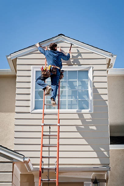 Best Brick Veneer Siding  in Vista, CA